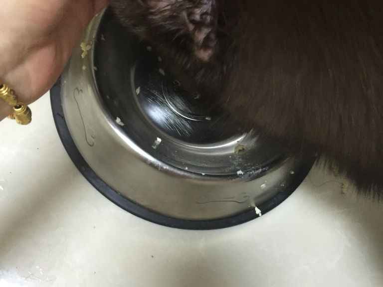 掉毛为啥这么多 原因和办法都在这儿